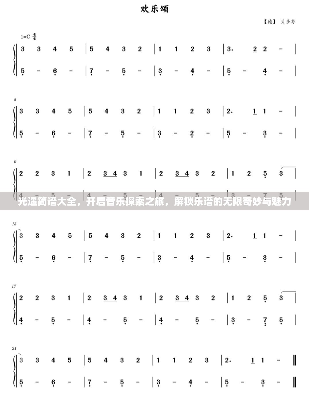 光遇简谱大全，开启音乐探索之旅，解锁乐谱的无限奇妙与魅力