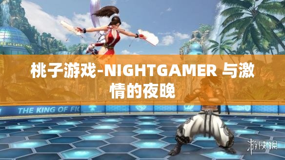 桃子游戏-NIGHTGAMER 与激情的夜晚