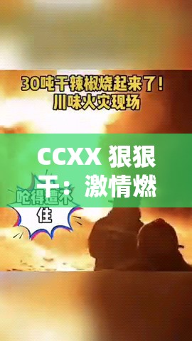 CCXX 狠狠干：激情燃烧的奋斗征程