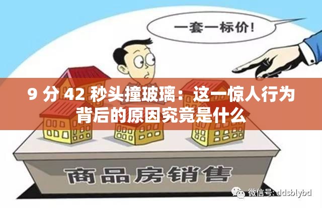 9 分 42 秒头撞玻璃：这一惊人行为背后的原因究竟是什么