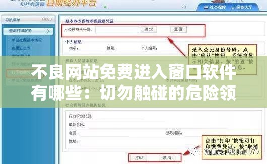 不良网站免费进入窗口软件有哪些：切勿触碰的危险领域