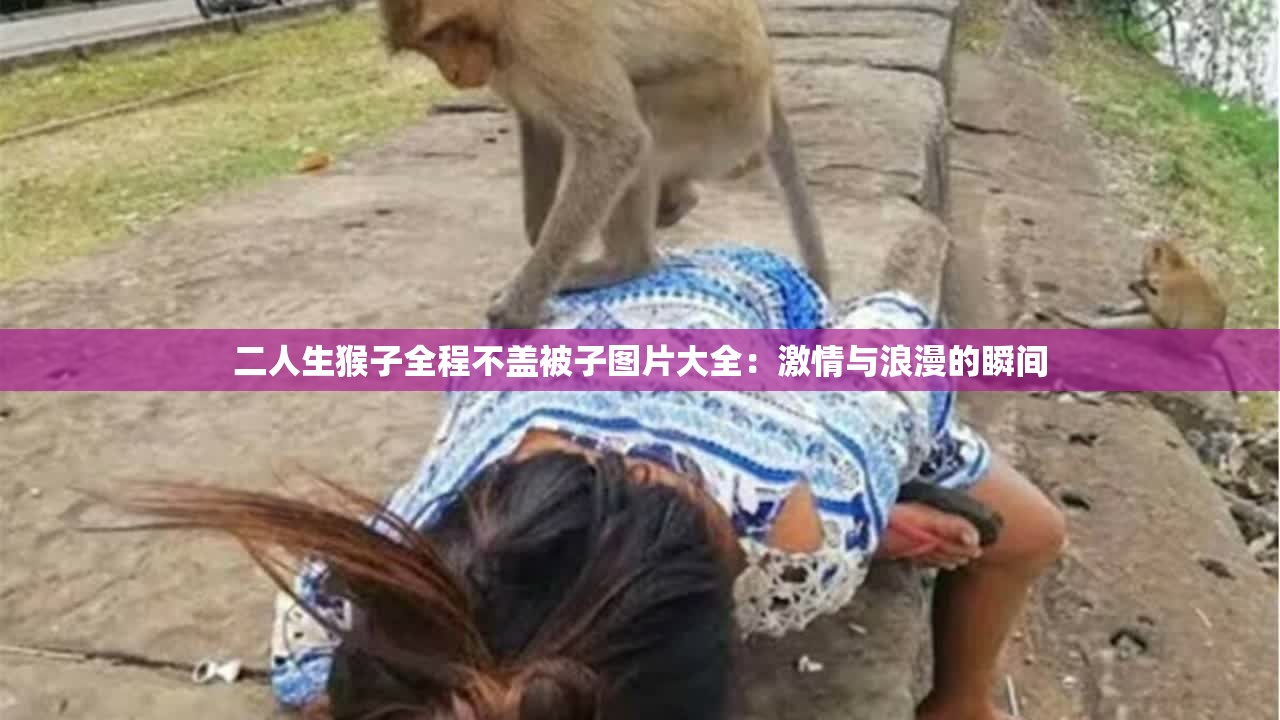 二人生猴子全程不盖被子图片大全：激情与浪漫的瞬间