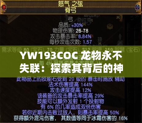 YW193COC 龙物永不失联：探索其背后的神秘与独特之处