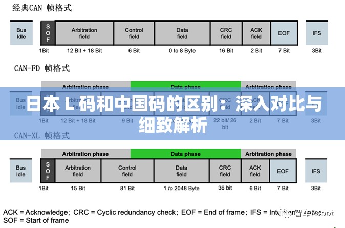 日本 L 码和中国码的区别：深入对比与细致解析