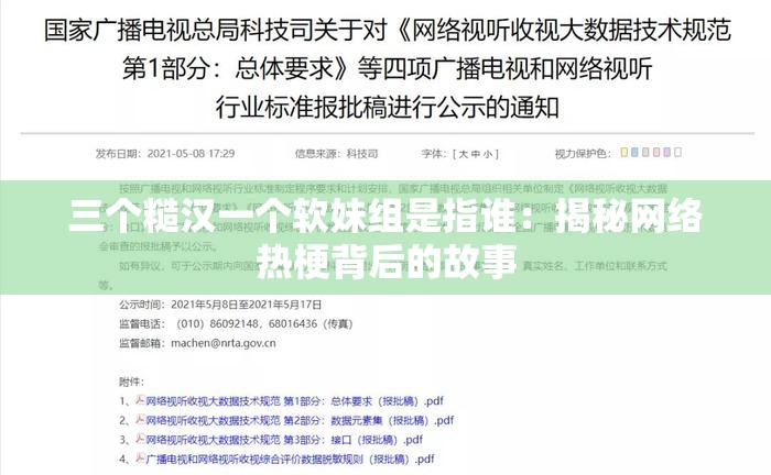 三个糙汉一个软妹组是指谁：揭秘网络热梗背后的故事