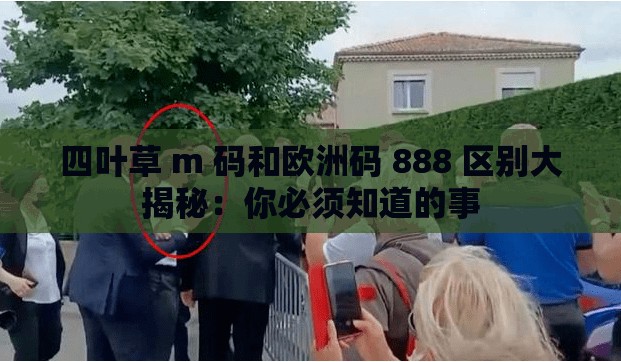 四叶草 m 码和欧洲码 888 区别大揭秘：你必须知道的事