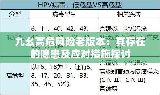 九幺高危风险老版本：其存在的隐患及应对措施探讨