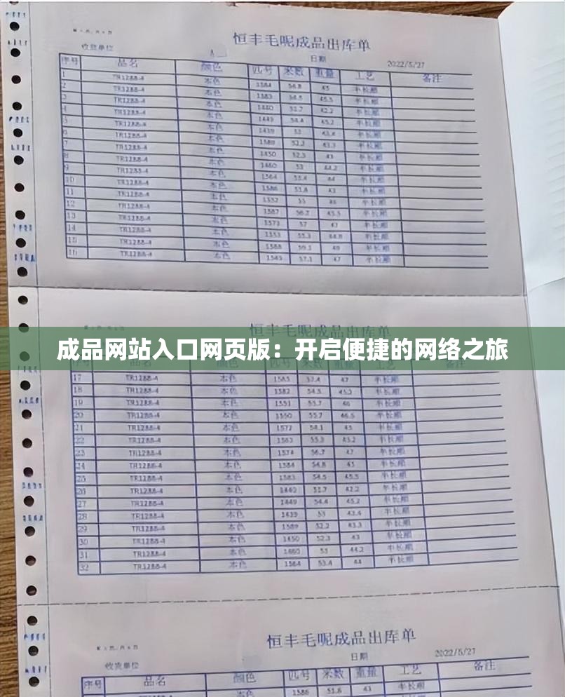 成品网站入口网页版：开启便捷的网络之旅