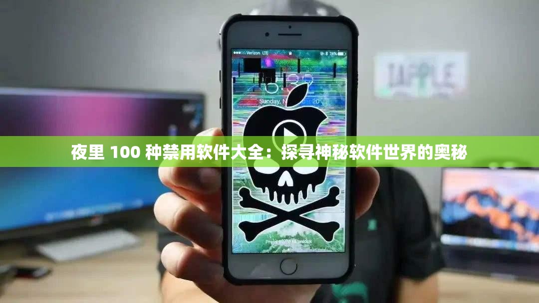 夜里 100 种禁用软件大全：探寻神秘软件世界的奥秘