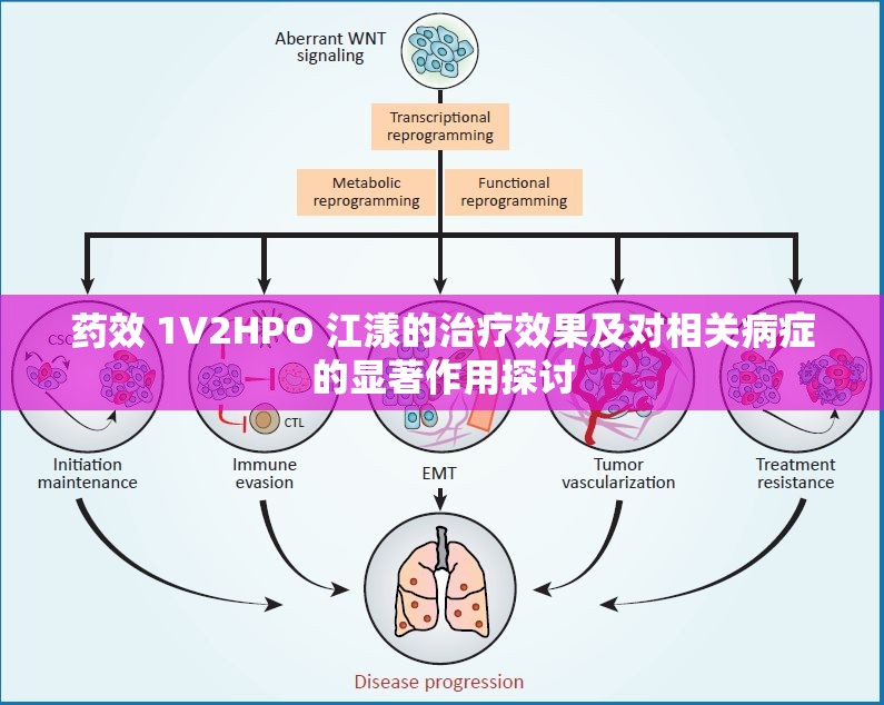 药效 1V2HPO 江漾的治疗效果及对相关病症的显著作用探讨