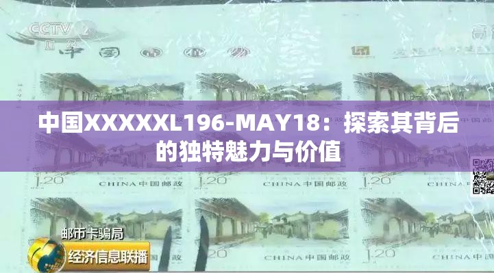 中国XXXXXL196-MAY18：探索其背后的独特魅力与价值