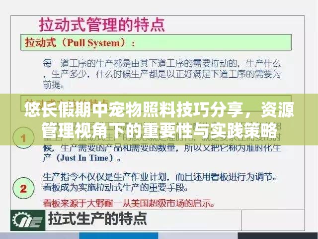 悠长假期中宠物照料技巧分享，资源管理视角下的重要性与实践策略