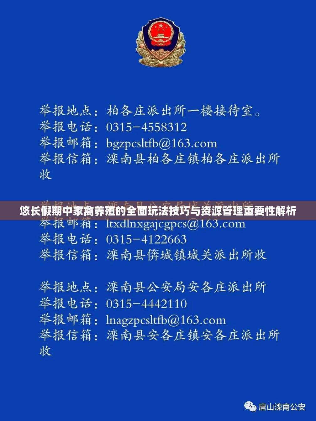 悠长假期中家禽养殖的全面玩法技巧与资源管理重要性解析