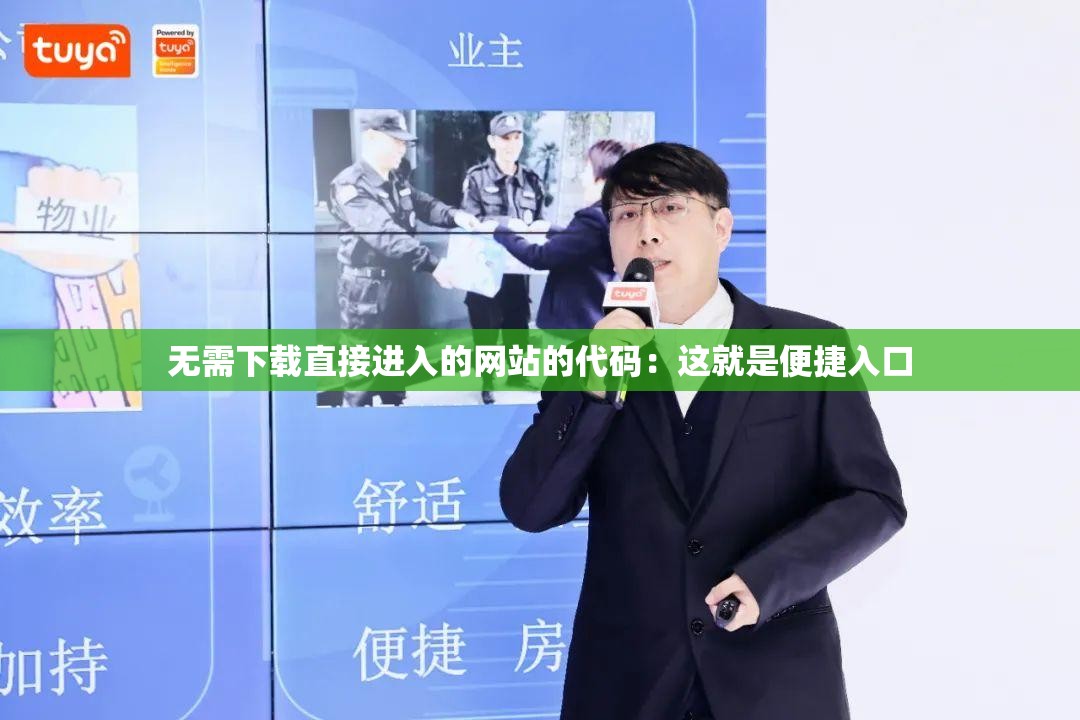 无需下载直接进入的网站的代码：这就是便捷入口