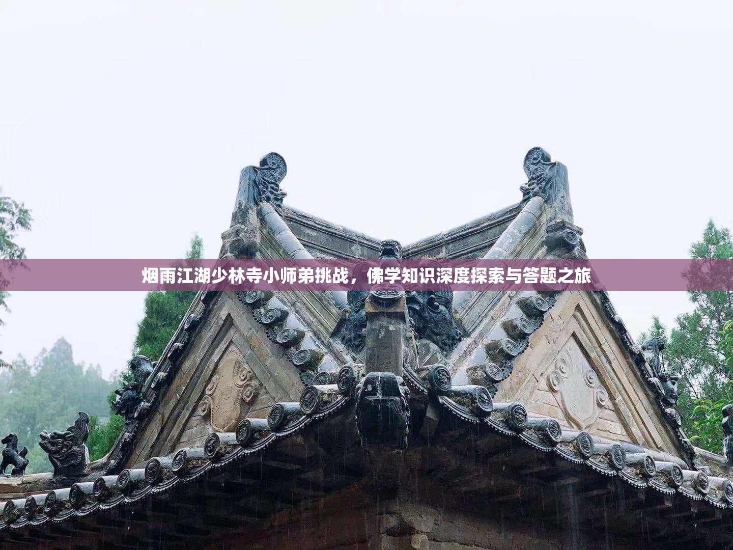 烟雨江湖少林寺小师弟挑战，佛学知识深度探索与答题之旅