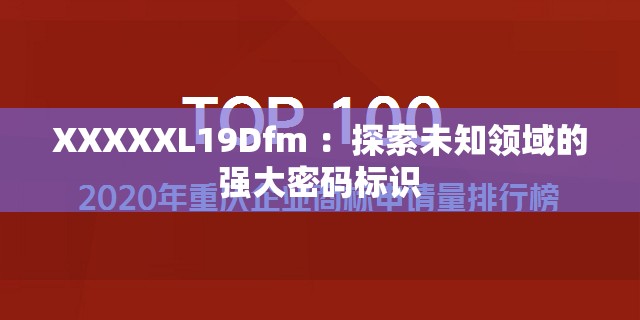 XXXXXL19Dfm ：探索未知领域的强大密码标识