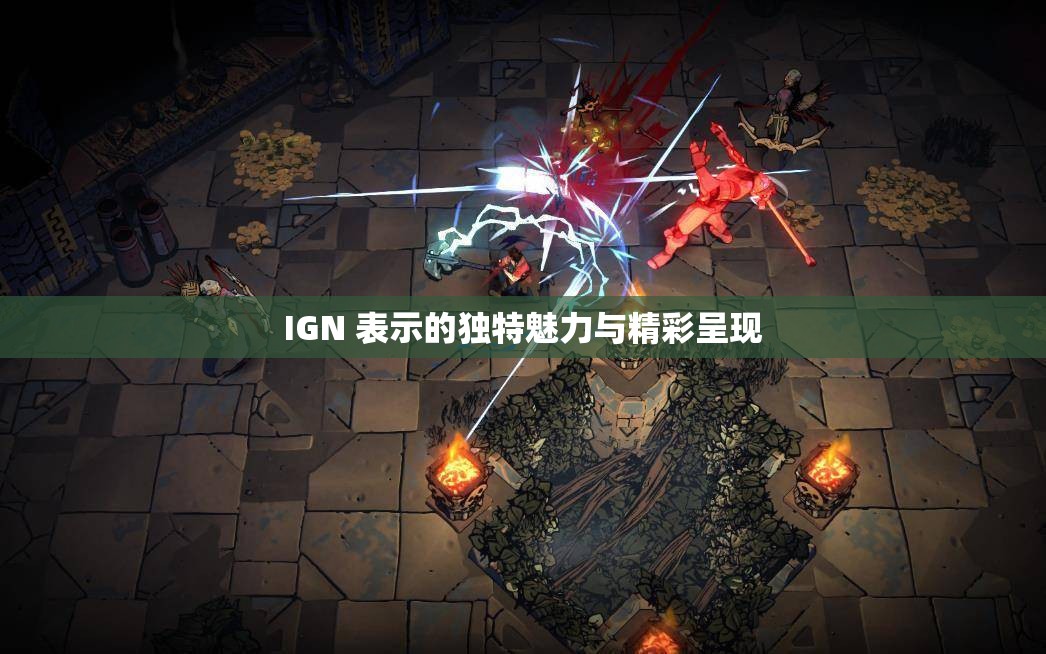 IGN 表示的独特魅力与精彩呈现