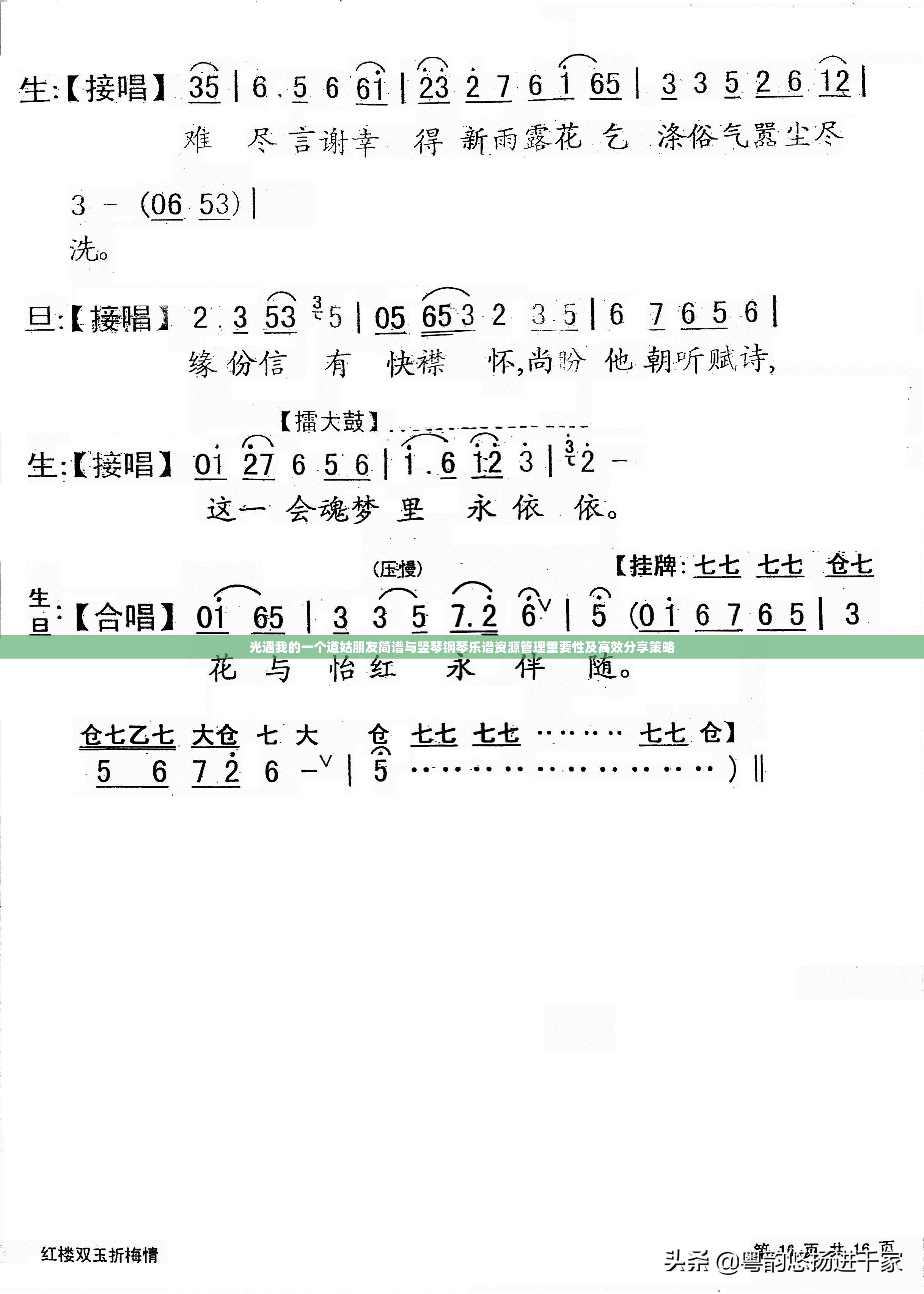 光遇我的一个道姑朋友简谱与竖琴钢琴乐谱资源管理重要性及高效分享策略