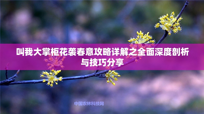 叫我大掌柜花袭春意攻略详解之全面深度剖析与技巧分享