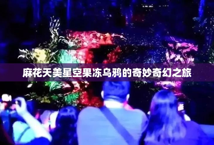 麻花天美星空果冻乌鸦的奇妙奇幻之旅