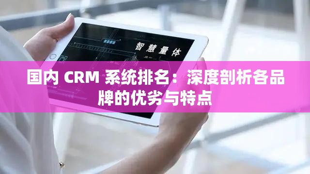 国内 CRM 系统排名：深度剖析各品牌的优劣与特点