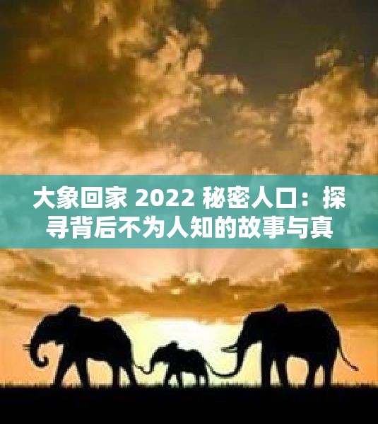 大象回家 2022 秘密人口：探寻背后不为人知的故事与真相