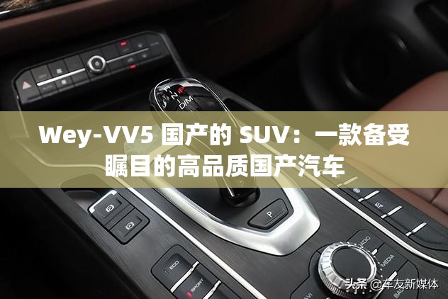 Wey-VV5 国产的 SUV：一款备受瞩目的高品质国产汽车