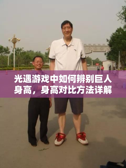 光遇游戏中如何辨别巨人身高，身高对比方法详解及其对资源管理策略的重要性