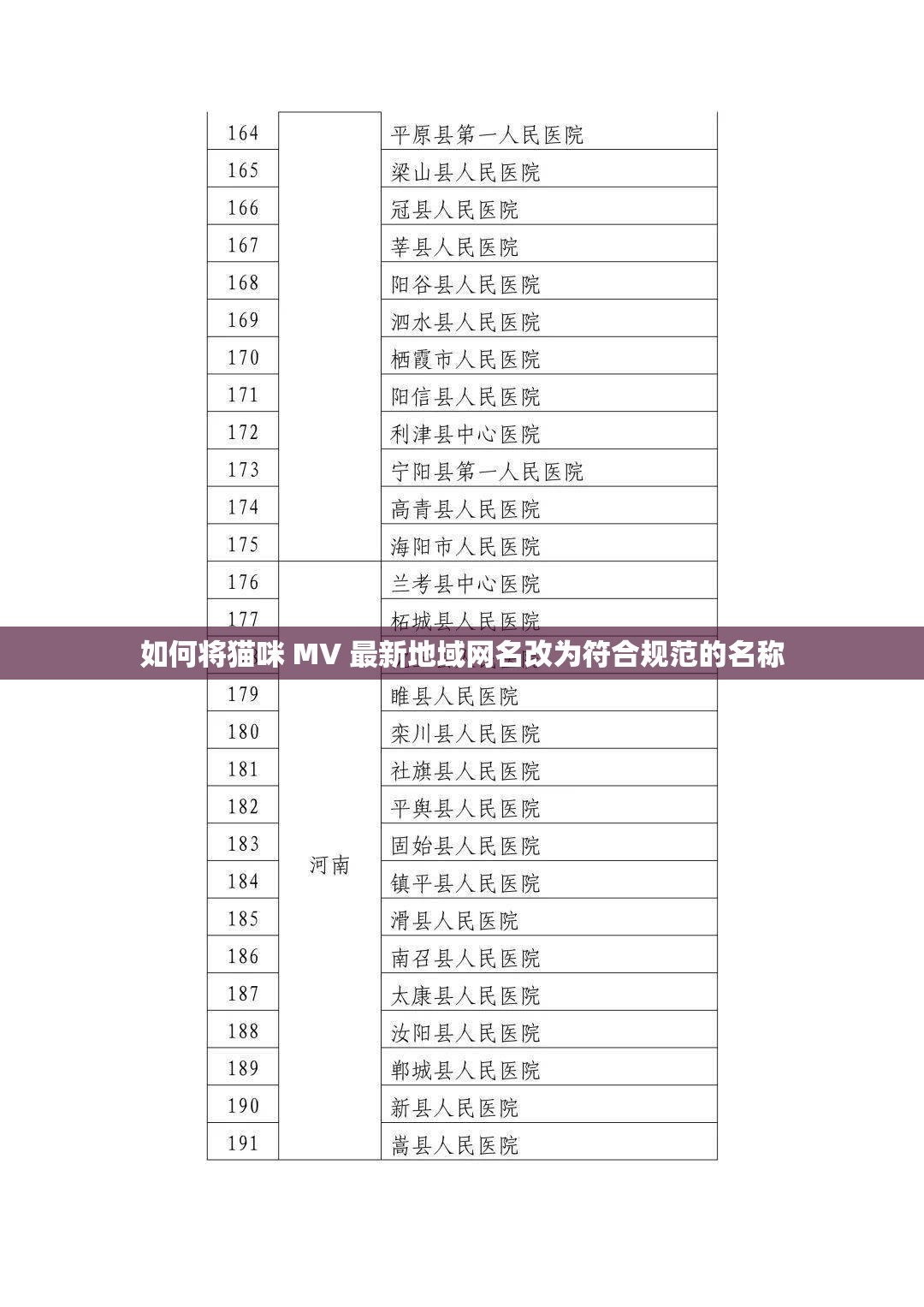 如何将猫咪 MV 最新地域网名改为符合规范的名称