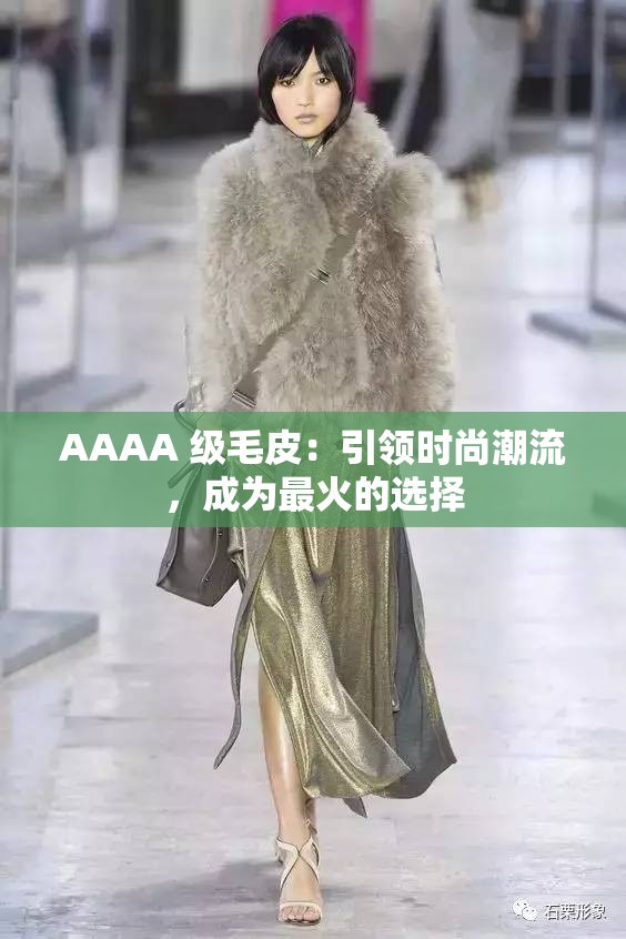 AAAA 级毛皮：引领时尚潮流，成为最火的选择