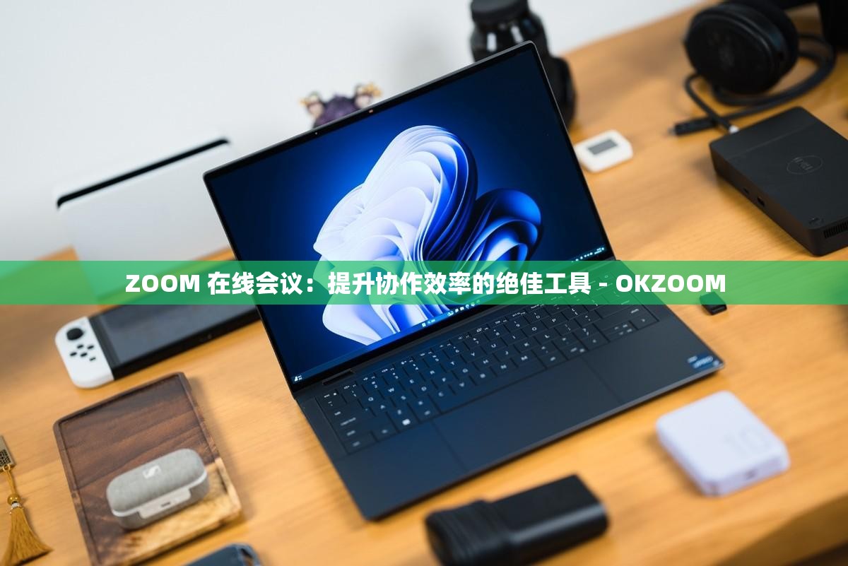 ZOOM 在线会议：提升协作效率的绝佳工具 - OKZOOM