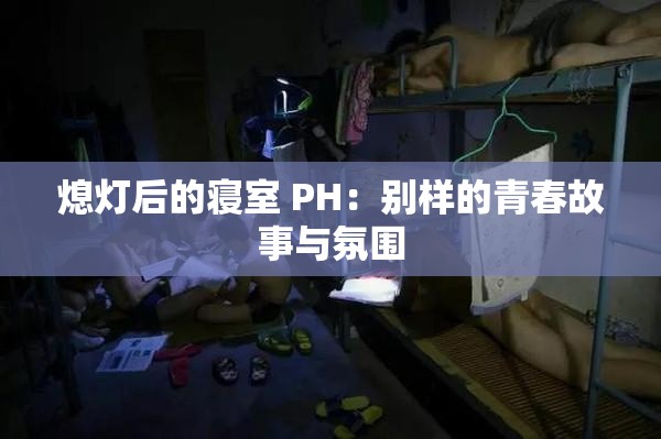 熄灯后的寝室 PH：别样的青春故事与氛围