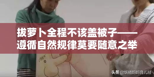 拔萝卜全程不该盖被子——遵循自然规律莫要随意之举