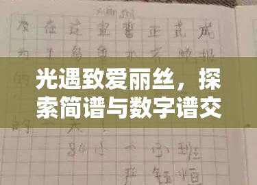 光遇致爱丽丝，探索简谱与数字谱交织的梦幻音乐交响之旅