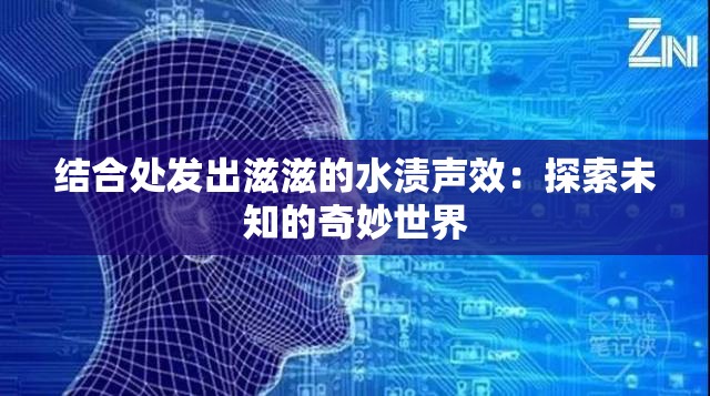 结合处发出滋滋的水渍声效：探索未知的奇妙世界