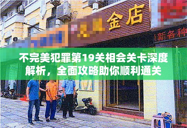 不完美犯罪第19关相会关卡深度解析，全面攻略助你顺利通关