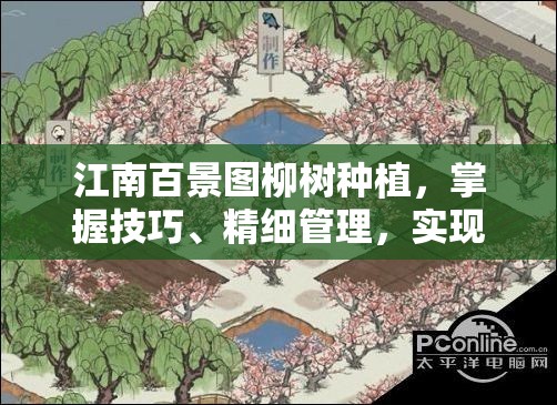 江南百景图柳树种植，掌握技巧、精细管理，实现景观与经济价值最大化