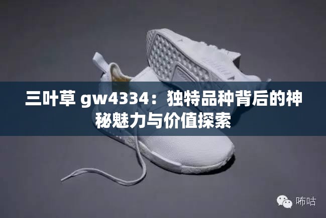 三叶草 gw4334：独特品种背后的神秘魅力与价值探索