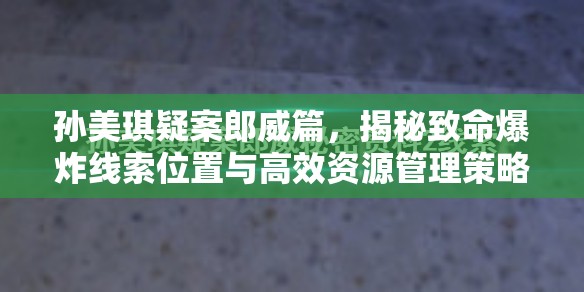 孙美琪疑案郎威篇，揭秘致命爆炸线索位置与高效资源管理策略