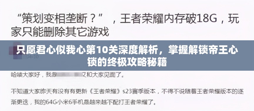 只愿君心似我心第10关深度解析，掌握解锁帝王心锁的终极攻略秘籍