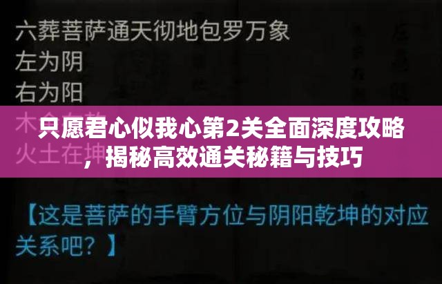 只愿君心似我心第2关全面深度攻略，揭秘高效通关秘籍与技巧