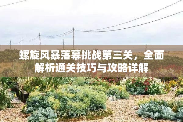 螺旋风暴落幕挑战第三关，全面解析通关技巧与攻略详解