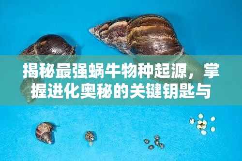 揭秘最强蜗牛物种起源，掌握进化奥秘的关键钥匙与全面获取秘籍指南