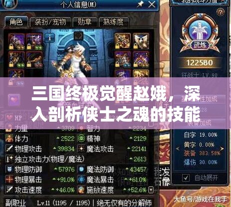 三国终极觉醒赵娥，深入剖析侠士之魂的技能属性与战斗潜力