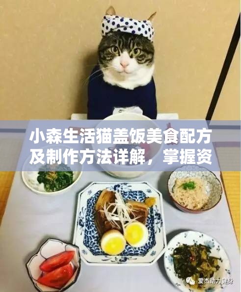 小森生活猫盖饭美食配方及制作方法详解，掌握资源管理技巧的关键