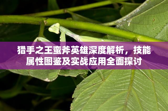 猎手之王蛮斧英雄深度解析，技能属性图鉴及实战应用全面探讨