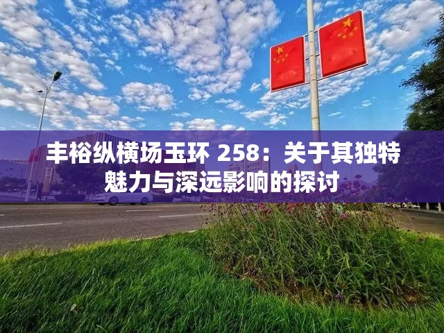 丰裕纵横场玉环 258：关于其独特魅力与深远影响的探讨