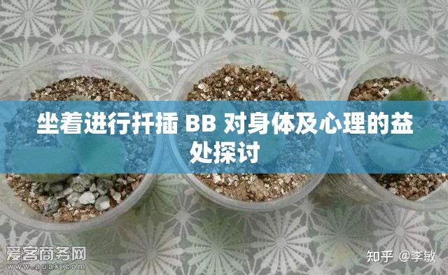 坐着进行扦插 BB 对身体及心理的益处探讨