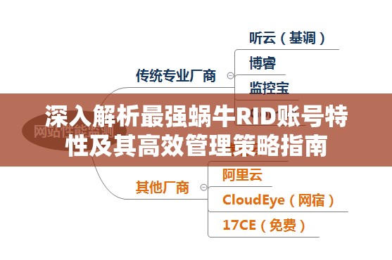 深入解析最强蜗牛RID账号特性及其高效管理策略指南