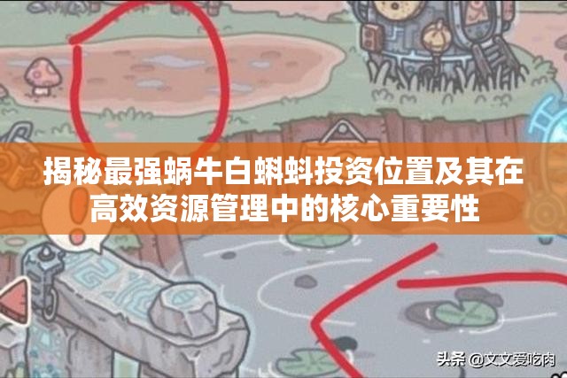 揭秘最强蜗牛白蝌蚪投资位置及其在高效资源管理中的核心重要性